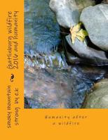 Gatlinburg wildfire 2016 and humanity: Humanity after a wildfire 1541083733 Book Cover