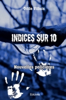 Indices sur 10: Nouvelles Policières (French Edition) 2414605715 Book Cover