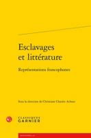 Esclavages Et Litterature: Representations Francophones 2812438002 Book Cover