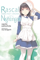 Rascal Does Not Dream, Vol. 11 (Light Novel) 1975343506 Book Cover