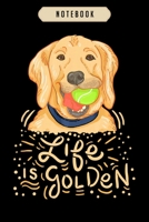 Notebook: Life is golden funny golden retriever owner Notebook6x9(100 pages)Blank Lined Paperback Journal For Student, gifts for kids, women, girls, boys, men, birthday gift, 1673807577 Book Cover