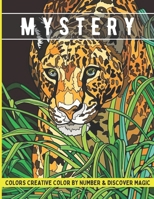 Mystery colors creative color by number & discover magic: Stress Relieving Patterns Color by Number Adult Coloring Book Mystery Color B09SP5XKHL Book Cover