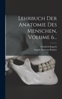 Lehrbuch Der Anatomie Des Menschen, Volume 6... 1018679782 Book Cover