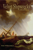 Velvet Shipwrecks: Collected Stories 1622889150 Book Cover