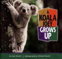 A Koala Joey Grows Up 1575051982 Book Cover