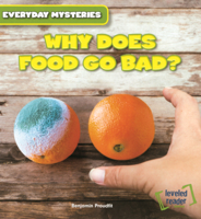Why Does Food Go Bad? B0GN282JT2 Book Cover