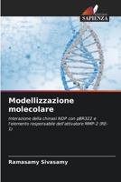 Modellizzazione molecolare 6209591477 Book Cover