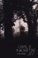 Chapel of Inadvertent Joy 0822962608 Book Cover