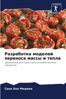Разработка моделей ... 6205984350 Book Cover