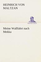 Meine Wallfahrt nach Mekka 384953121X Book Cover