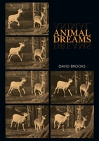 Animal Dreams 1743327471 Book Cover