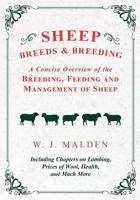Sheep Breeds and Breeding - A Concise Overview of the Breeding, Feeding and Management of Sheep, Including Chapters on Lambing, Prices of Wool, Health 1528708008 Book Cover