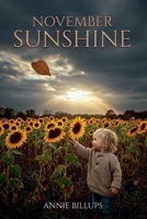 November Sunshine B0FHF9N613 Book Cover