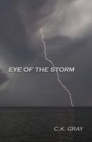 Eye of the Storm 0741460181 Book Cover