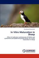 In Vitro Maturation in Sheep 3659176370 Book Cover