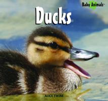 Ducks (Baby Animals) 1404276335 Book Cover