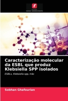 Caracterização molecular da ESBL que produz Klebsiella SPP isolados 6203078727 Book Cover