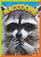 Raccoons 164466173X Book Cover