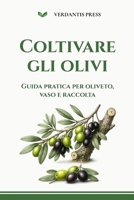 Coltivare gli olivi: Guida pratica per oliveto, vaso e raccolta (Guide pratiche Verdantis per l’orto e il giardino) (Italian Edition) B0H6NL41WJ Book Cover