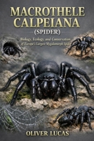 MACROTHELE CALPEIANA ( SPIDER ): Biology, Ecology, and Conservation of Europe’s Largest Mygalomorph Spider B0GN3X3YF5 Book Cover