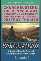 David: The Wilderness Years (That Place Known as "In-Between") - A Study of David's Times of Preparation Before the Palace (ChurchBusters: The Men Who ... and The Spirits That Will Destroy the Men) 1692044230 Book Cover