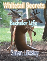 Whitetail Secrets: Bachelor Life 1737762072 Book Cover