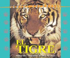 Wildcats of the World - Tigers (Wildcats of the World) 1567114466 Book Cover