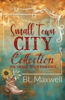 Small Town City Collection (Small Town City Series) B0FR8K7WPL Book Cover