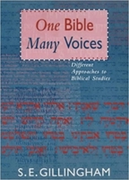 One Bible, Many Voices: Different Approaches To Biblical Studies 028104886X Book Cover