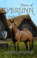 Plains of Tybrunn 1625530927 Book Cover