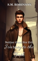 Neither Good Nor Evil: Journey to the Truth B0CBT9PRFX Book Cover