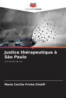 Justice thérapeutique à São Paulo: Une étude de cas 6205930765 Book Cover