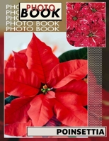 Poinsettia Photo Book: Beautiful Floral Imagery Featuring 40 Stunning Poinsettia Designs For Unique Gifts B0DPT8YQQF Book Cover