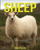 Sheep: Children Book of Fun Facts & Amazing Photos on Animals in Nature - A Wonderful Sheep Book for Kids Aged 3-7 1532782829 Book Cover