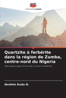 Quartzite à ferbérite dans la région de Zumba, centre-nord du Nigeria: Géologie et géochimie des roches à ferbérite (French Edition) 6208684668 Book Cover