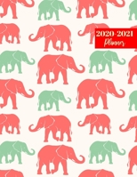 2020-2021 Planner: Nice Two Year Day Planner Calendar - Passion/Goal Organizer - Weekly/Monthly Dated Agenda Book and To Do List 1696026954 Book Cover