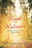 Road to Holiness: The Spiritual Journey in the Gospel of John 166424851X Book Cover