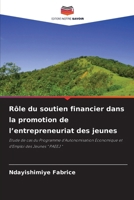 Rôle du soutien financier dans la promotion de l'entrepreneuriat des jeunes (French Edition) 6208500826 Book Cover