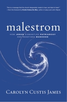 Malestrom: Manhood Swept into the Currents of a Changing World 0310325579 Book Cover