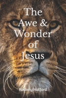 The Awe & Wonder of Jesus B09VWG7VD1 Book Cover