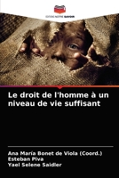 Le droit de l'homme à un niveau de vie suffisant 6203664065 Book Cover