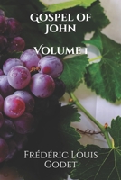 Gospel of John Volume 1 1711042196 Book Cover
