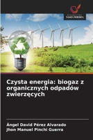 Czysta energia: biogaz z organicznych odpadów zwierzecych (Polish Edition) 6630145070 Book Cover