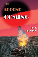 The Second Coming : Book 3: the City of Nis Trilogy 099764107X Book Cover