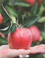 Photo-Stock Notizbuch: Roter Apfel Dotgrid Punktkariertes Notizbuch 150 Seiten liniert - A4 Format - mattes Softcover - dot grid 1696711479 Book Cover