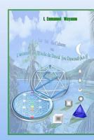 LA LOI DU CALAME: Loi géométrique sur les chiffres et lettres arabes 171800639X Book Cover