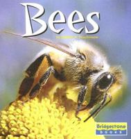 Bees (World of Insects) 0736843345 Book Cover