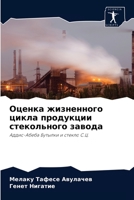 Оценка жизненного цикла продукции стекольного завода: Аддис-Абеба Бутылки и стекло С.Ц. 6204052047 Book Cover