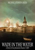 Wade in the Water 1908483822 Book Cover
