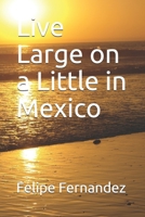 Live Large on a Little in Mexico 1701145197 Book Cover
